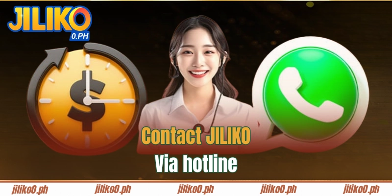 Contact with JILIKO's consulting staff via hotline