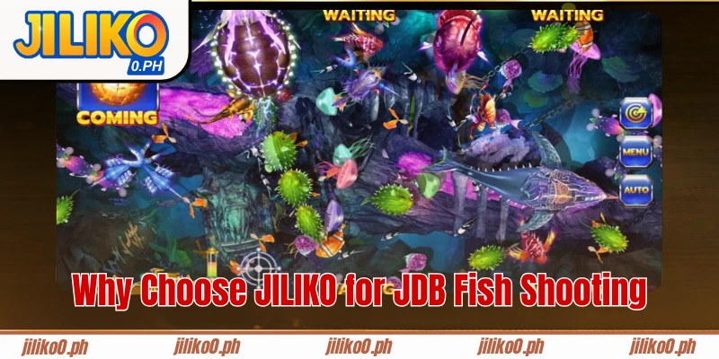 Why Choose JILIKO for JDB Fish Shooting