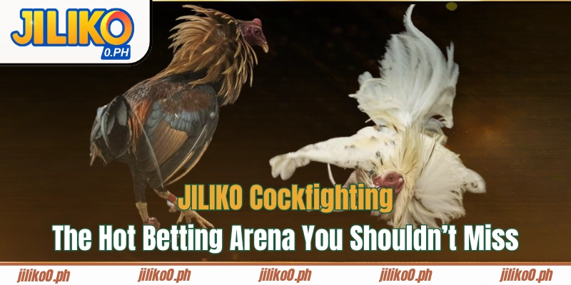 JILIKO Cockfighting – The Hot Betting Arena You Shouldn’t Miss