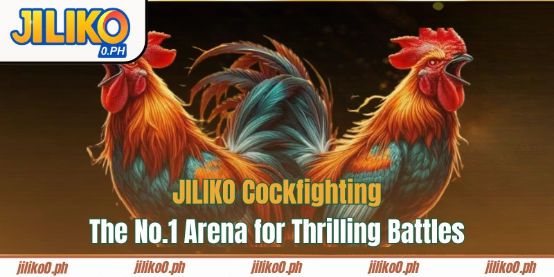 JILIKO COCKFIGTING
