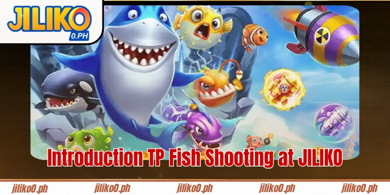 Introduction TP Fish Shooting at JILIKO