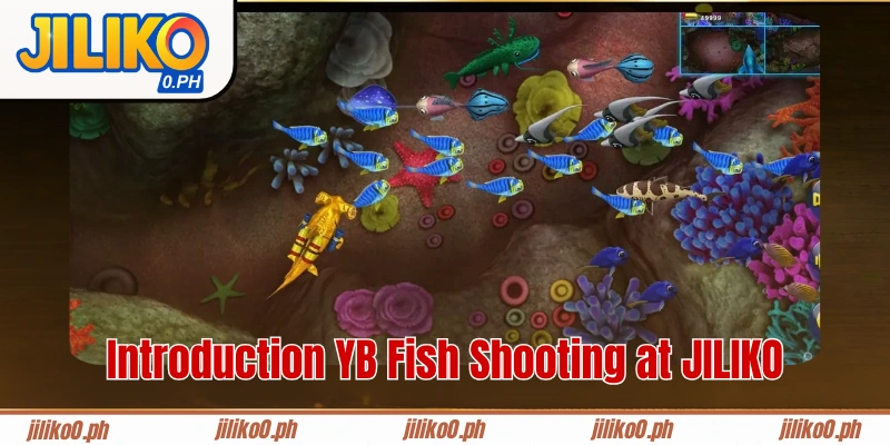 Introduction YB Fish Shooting at JILIKO